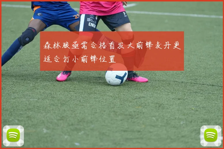 森林狼亟需合格首发大前锋麦丹更适合打小前锋位置