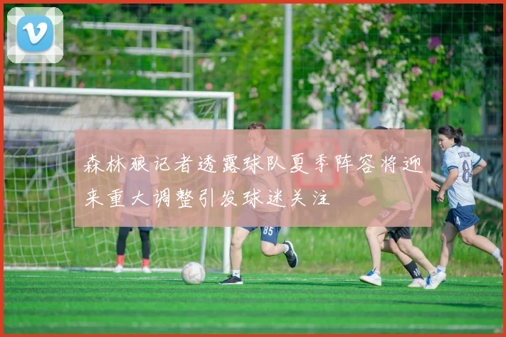 森林狼记者透露球队夏季阵容将迎来重大调整引发球迷关注